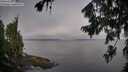 ./images/koeye/fitz-hugh/20260803/fitz-hugh20260803_082502M.jpg