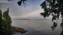 ./images/koeye/fitz-hugh/20260803/fitz-hugh20260803_083002M.jpg