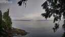 ./images/koeye/fitz-hugh/20260803/fitz-hugh20260803_083501M.jpg
