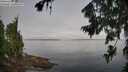./images/koeye/fitz-hugh/20260803/fitz-hugh20260803_084001M.jpg