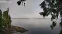 ./images/koeye/fitz-hugh/20260803/fitz-hugh20260803_084502M.jpg