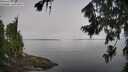 ./images/koeye/fitz-hugh/20260803/fitz-hugh20260803_090501M.jpg