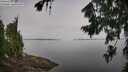 ./images/koeye/fitz-hugh/20260803/fitz-hugh20260803_092501M.jpg