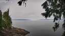 ./images/koeye/fitz-hugh/20260803/fitz-hugh20260803_094001M.jpg