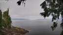 ./images/koeye/fitz-hugh/20260803/fitz-hugh20260803_095502M.jpg