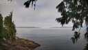 ./images/koeye/fitz-hugh/20260803/fitz-hugh20260803_100001M.jpg