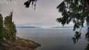 ./images/koeye/fitz-hugh/20260803/fitz-hugh20260803_101501M.jpg