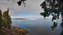 ./images/koeye/fitz-hugh/20260803/fitz-hugh20260803_102502M.jpg