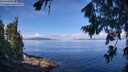 ./images/koeye/fitz-hugh/20260803/fitz-hugh20260803_103501M.jpg