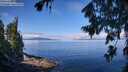./images/koeye/fitz-hugh/20260803/fitz-hugh20260803_104001M.jpg