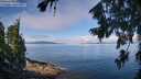 ./images/koeye/fitz-hugh/20260803/fitz-hugh20260803_104501M.jpg
