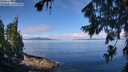 ./images/koeye/fitz-hugh/20260803/fitz-hugh20260803_105001M.jpg