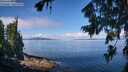 ./images/koeye/fitz-hugh/20260803/fitz-hugh20260803_105501M.jpg
