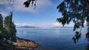 ./images/koeye/fitz-hugh/20260803/fitz-hugh20260803_110001M.jpg
