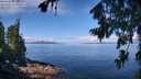 ./images/koeye/fitz-hugh/20260803/fitz-hugh20260803_110501M.jpg