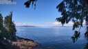 ./images/koeye/fitz-hugh/20260803/fitz-hugh20260803_111001M.jpg