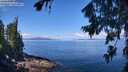 ./images/koeye/fitz-hugh/20260803/fitz-hugh20260803_111501M.jpg