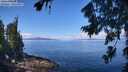 ./images/koeye/fitz-hugh/20260803/fitz-hugh20260803_112001M.jpg