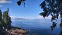 ./images/koeye/fitz-hugh/20260803/fitz-hugh20260803_112501M.jpg