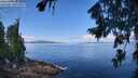 ./images/koeye/fitz-hugh/20260803/fitz-hugh20260803_113001M.jpg