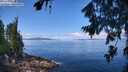 ./images/koeye/fitz-hugh/20260803/fitz-hugh20260803_113501M.jpg