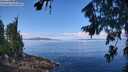 ./images/koeye/fitz-hugh/20260803/fitz-hugh20260803_114001M.jpg