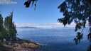 ./images/koeye/fitz-hugh/20260803/fitz-hugh20260803_114501M.jpg