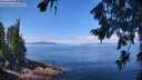./images/koeye/fitz-hugh/20260803/fitz-hugh20260803_115001M.jpg