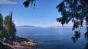 ./images/koeye/fitz-hugh/20260803/fitz-hugh20260803_115501M.jpg