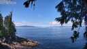 ./images/koeye/fitz-hugh/20260803/fitz-hugh20260803_120002M.jpg