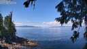 ./images/koeye/fitz-hugh/20260803/fitz-hugh20260803_121002M.jpg