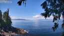 ./images/koeye/fitz-hugh/20260803/fitz-hugh20260803_122002M.jpg
