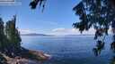 ./images/koeye/fitz-hugh/20260803/fitz-hugh20260803_123001M.jpg