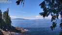 ./images/koeye/fitz-hugh/20260803/fitz-hugh20260803_123501M.jpg