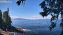 ./images/koeye/fitz-hugh/20260803/fitz-hugh20260803_124501M.jpg
