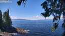 ./images/koeye/fitz-hugh/20260803/fitz-hugh20260803_130001M.jpg