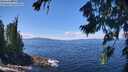 ./images/koeye/fitz-hugh/20260803/fitz-hugh20260803_130501M.jpg