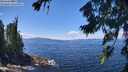 ./images/koeye/fitz-hugh/20260803/fitz-hugh20260803_131001M.jpg