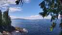 ./images/koeye/fitz-hugh/20260803/fitz-hugh20260803_133001M.jpg