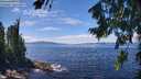 ./images/koeye/fitz-hugh/20260803/fitz-hugh20260803_134001M.jpg