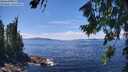 ./images/koeye/fitz-hugh/20260803/fitz-hugh20260803_135001M.jpg