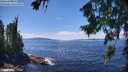 ./images/koeye/fitz-hugh/20260803/fitz-hugh20260803_135501M.jpg