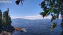 ./images/koeye/fitz-hugh/20260803/fitz-hugh20260803_140001M.jpg