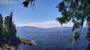 ./images/koeye/fitz-hugh/20260803/fitz-hugh20260803_140501M.jpg
