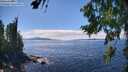 ./images/koeye/fitz-hugh/20260803/fitz-hugh20260803_144002M.jpg