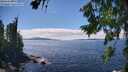 ./images/koeye/fitz-hugh/20260803/fitz-hugh20260803_144501M.jpg