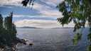 ./images/koeye/fitz-hugh/20260803/fitz-hugh20260803_145501M.jpg