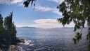 ./images/koeye/fitz-hugh/20260803/fitz-hugh20260803_152002M.jpg