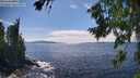 ./images/koeye/fitz-hugh/20260803/fitz-hugh20260803_153501M.jpg