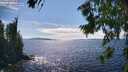 ./images/koeye/fitz-hugh/20260803/fitz-hugh20260803_160501M.jpg